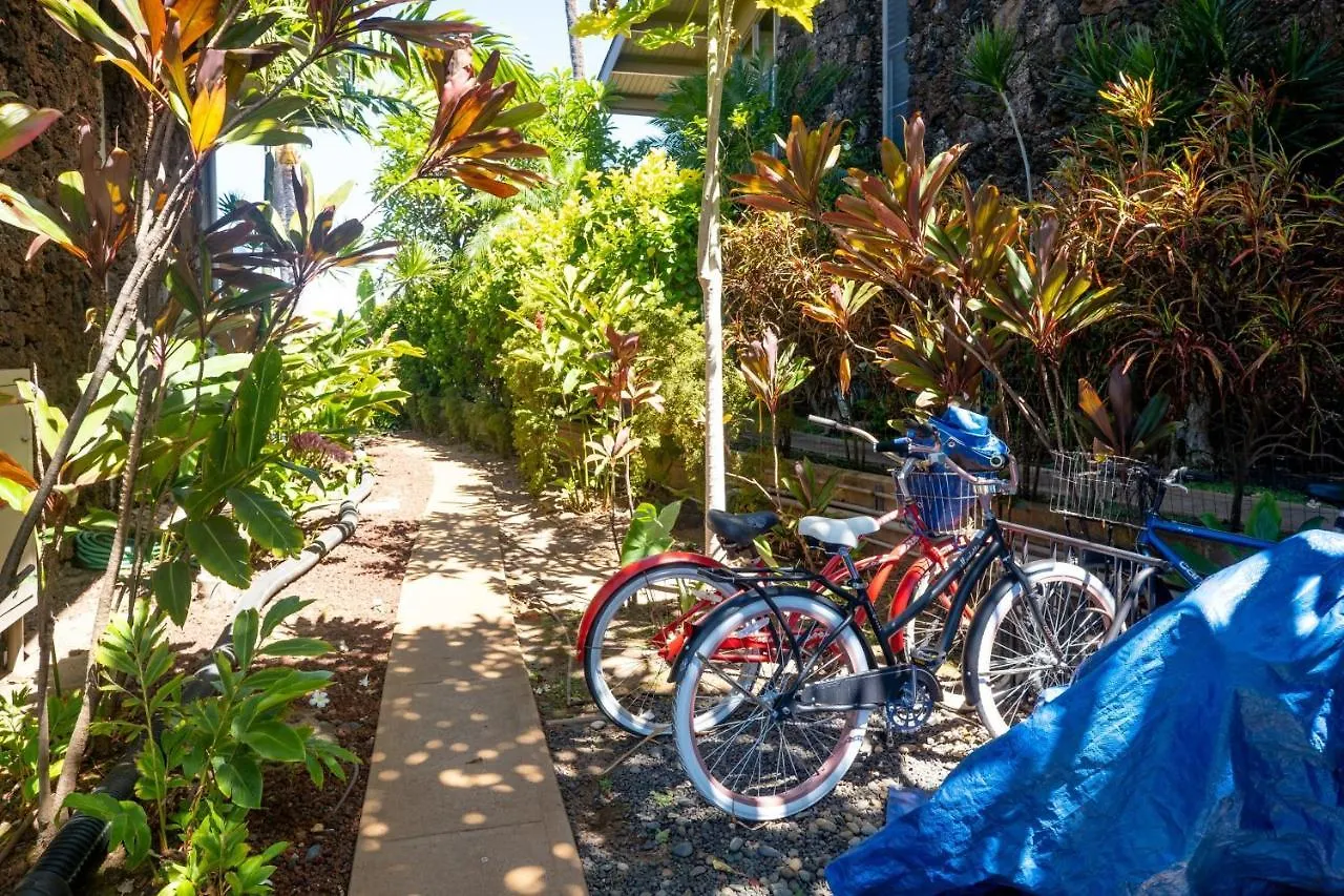 Hale Kai 115 Condo Kahana 0*,  United States